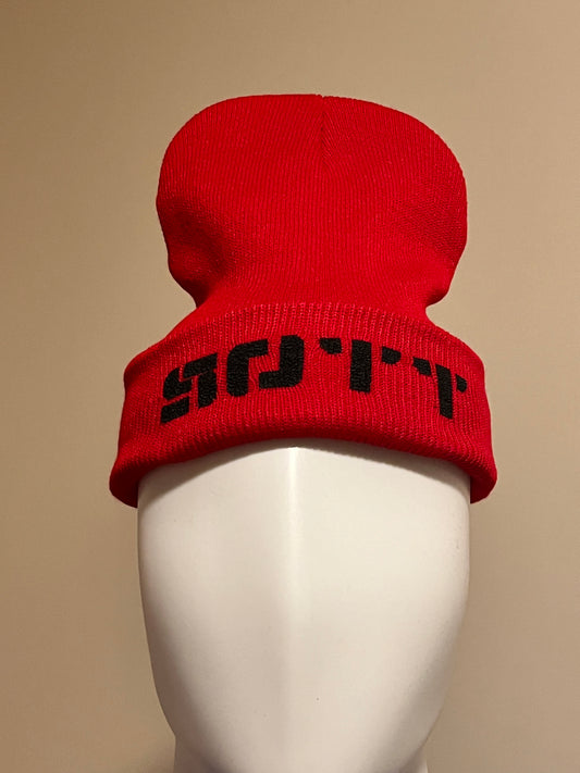 Ski Hat